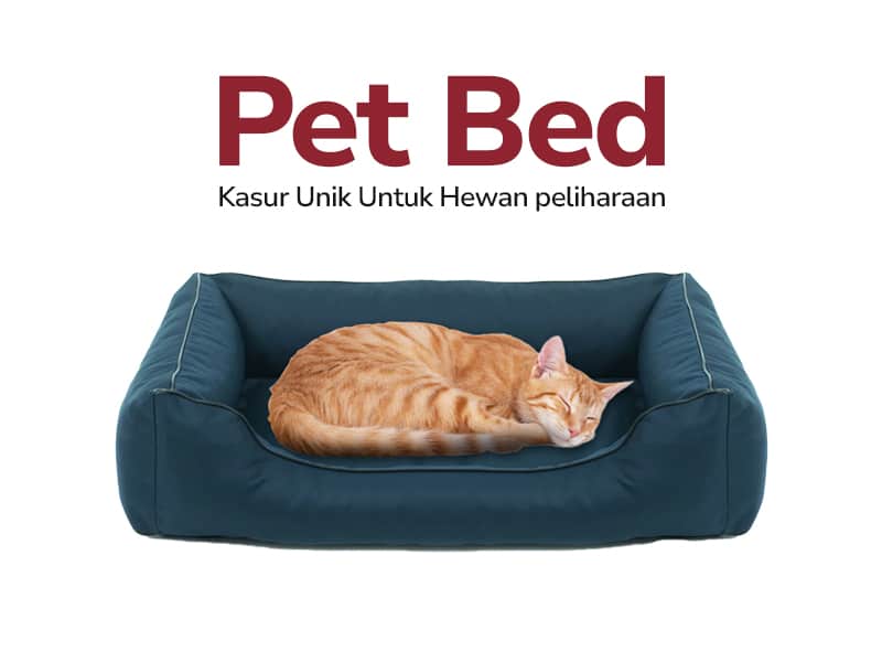 Pet Bed - 5 Inspirasi Produk Unik